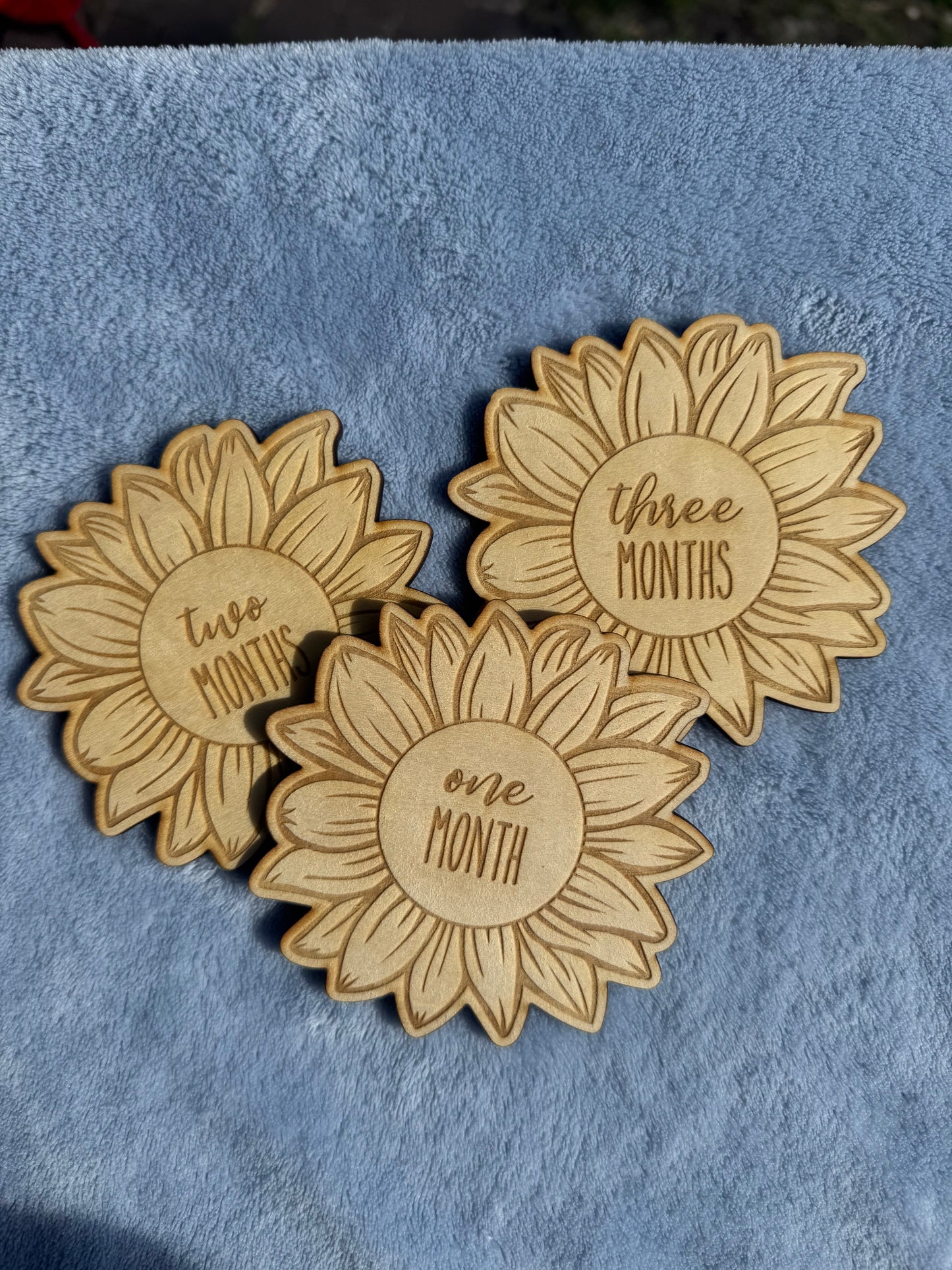 Sunflower monthly milestone discs