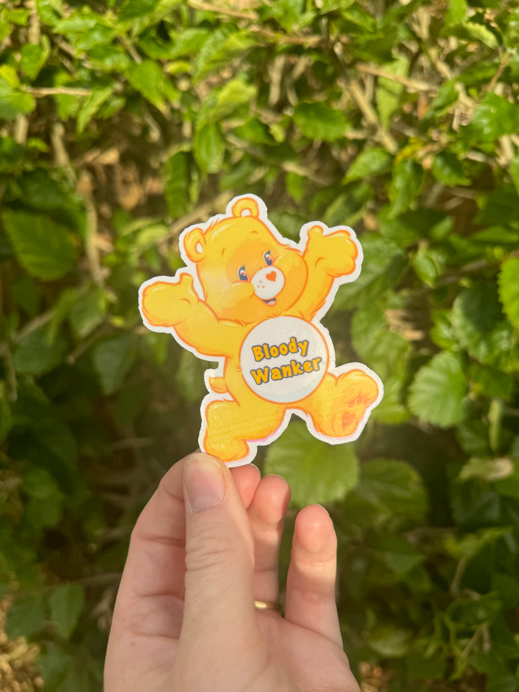 Aussie Inspired Swear bear stickers