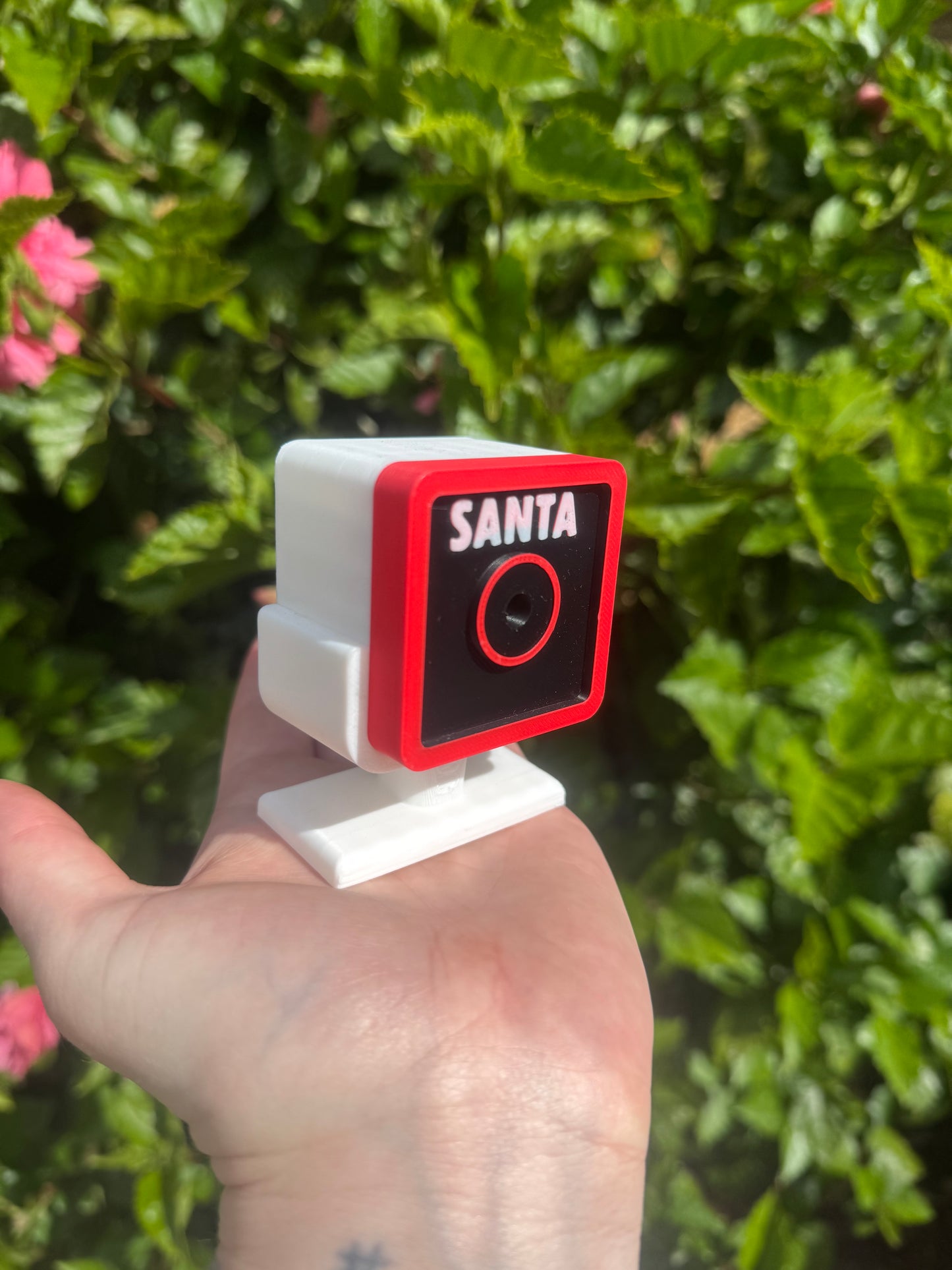 Santa cam