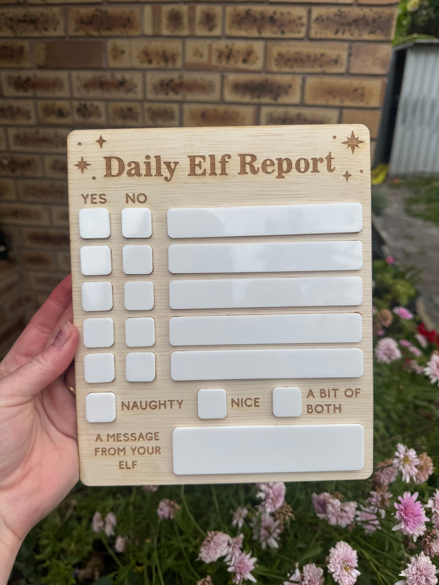 Daily Elf Report Deluxe