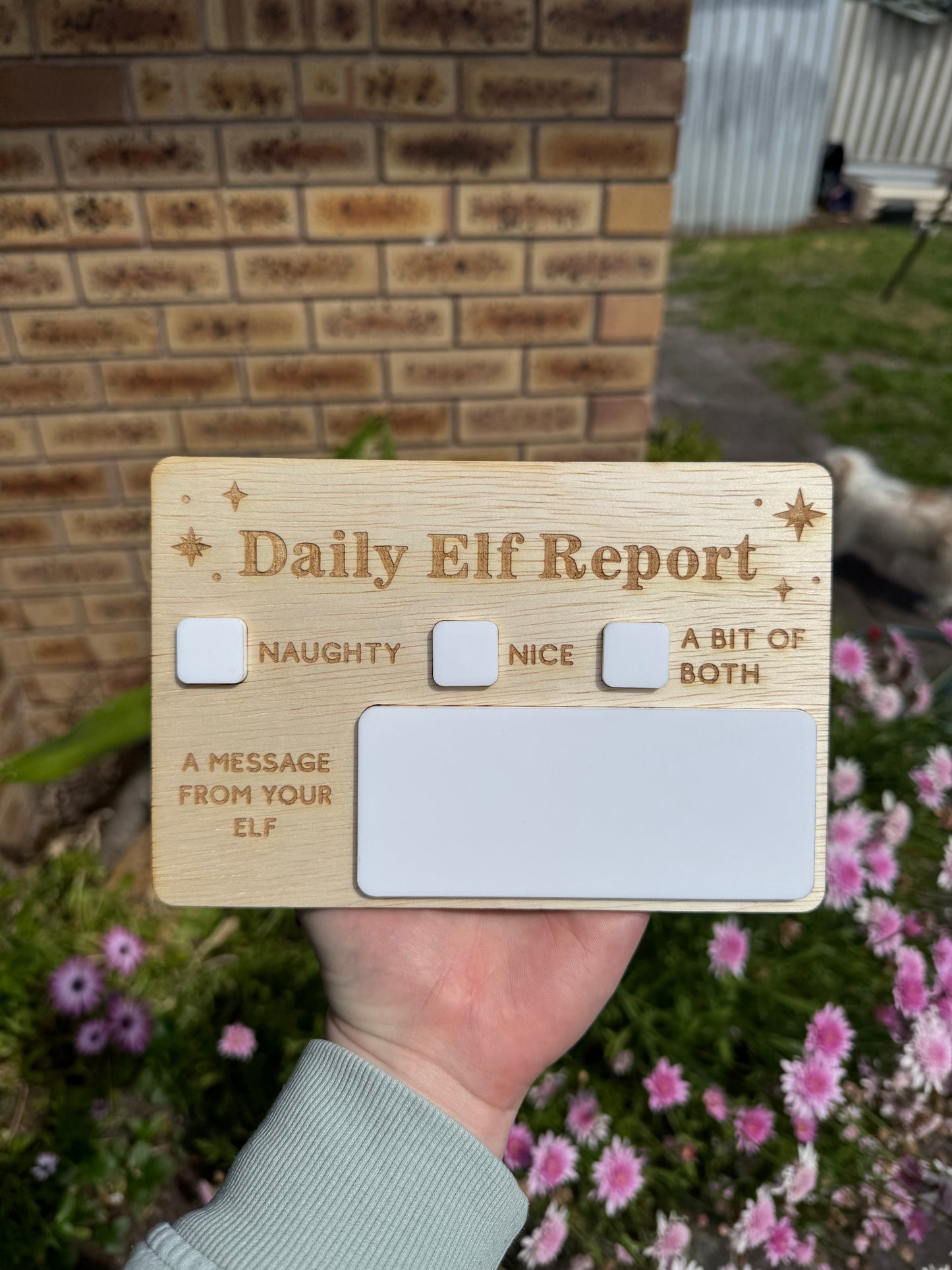 Daily Elf Report