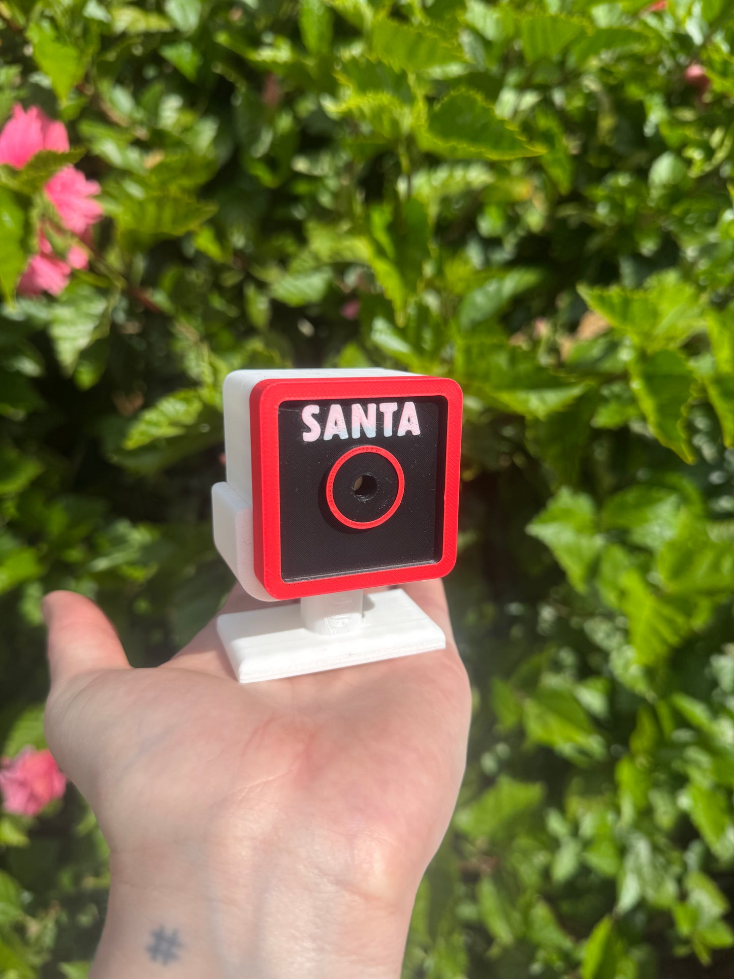 Santa cam