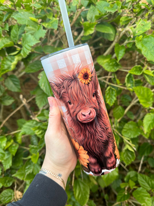 Highland cow