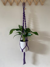 Load image into Gallery viewer, Cadbury single plant hanger
