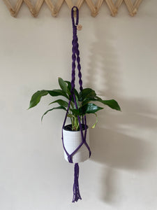 Cadbury single plant hanger