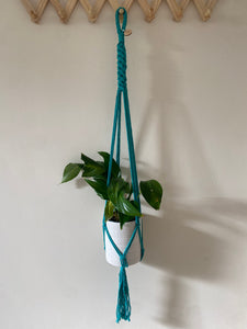 Teal single plant hanger